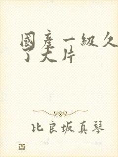 国产一级久久久了大片