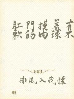 肛门摸着有个软软的肉球不痛不痒封面