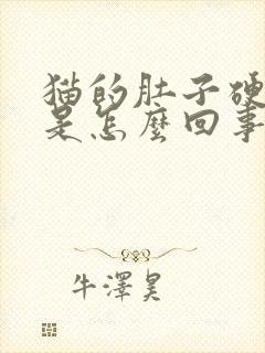 猫的肚子硬硬的是怎么回事封面