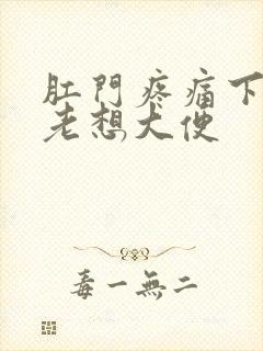 肛门疼痛下坠感老想大便