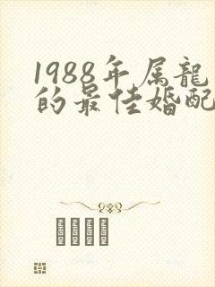 1988年属龙的最佳婚配属相是什么封面