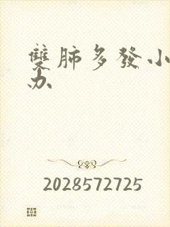 双肺多发小结节办