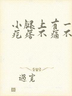 小腿上有一个硬疙瘩不痛不痒封面