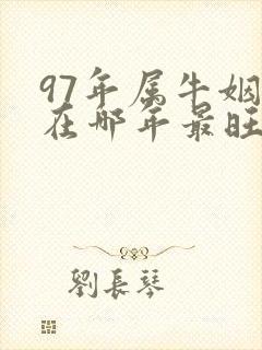 97年属牛姻缘在哪年最旺盛