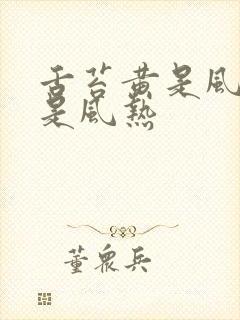 舌苔黄是风寒还是风热