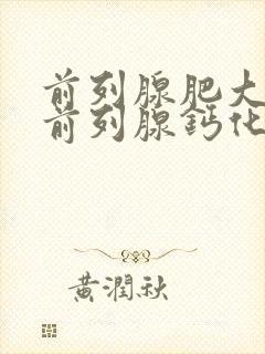 前列腺肥大伴有前列腺钙化灶怎么治疗