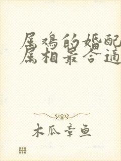 属鸡的婚配什么属相最合适