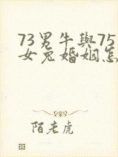 73男牛与75女兔婚姻怎样?封面