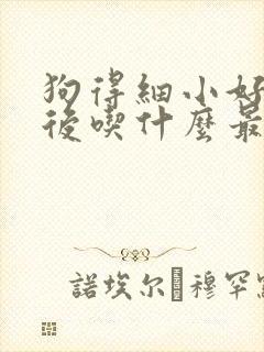 狗得细小好了以后吃什么最有营养