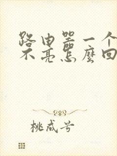 路由器一个灯都不亮怎么回事