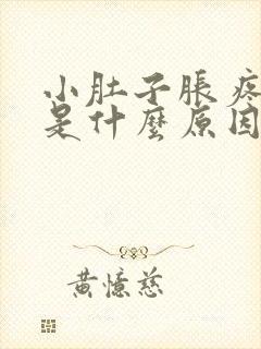 小肚子胀疼发烧是什么原因