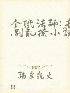 全职法师:老婆,别乱撩小说免费阅读封面