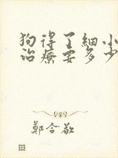 狗得了细小病毒治疗要多少钱封面