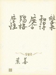 摩羯座和双子座性格合得来吗