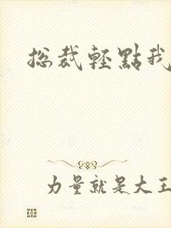 总裁轻点我怕疼封面