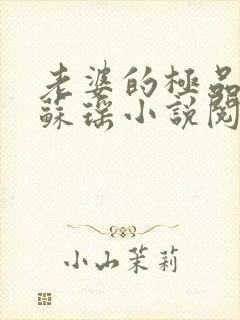 老婆的极品闺蜜苏瑶小说阅读