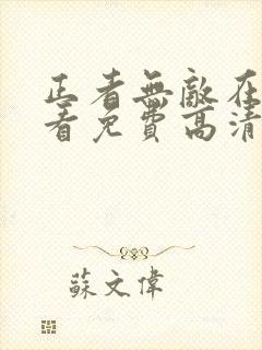 正者无敌在线观看免费高清封面