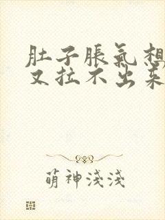 肚子胀气想拉屎又拉不出来什么原因