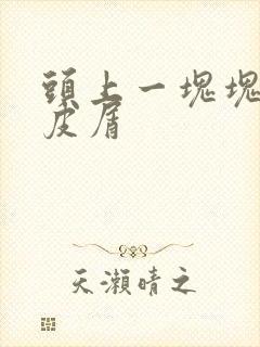 头上一块块的头皮屑