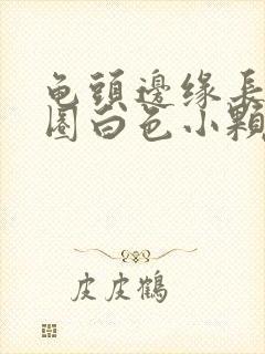 龟头边缘长了一圈白色小颗粒