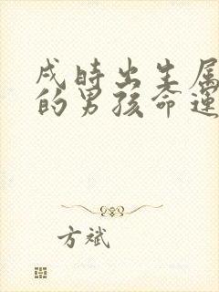 戌时出生属虎的的男孩命运封面