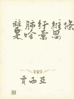 双肺纤维条索影是啥意思