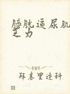 膀胱逼尿肌收缩乏力封面