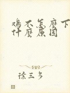 鸡不怎么下蛋是什么原因