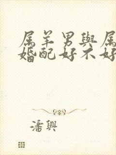 属羊男与属狗女婚配好不好呀