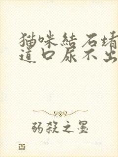 猫咪结石堵住尿道口尿不出来怎么办封面