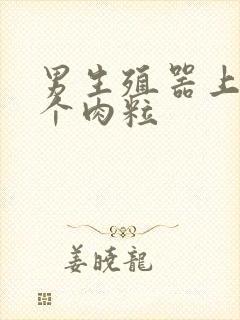 男生殖器上长了个肉粒封面