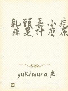 乳头长小疙瘩很痒是什么原因