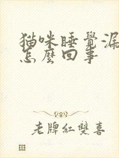 猫咪睡觉漏尿是怎么回事