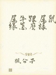 属牛跟属鼠的姻缘怎么样