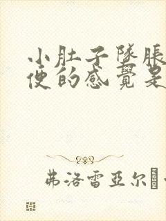 小肚子坠胀想大便的感觉是怎么回事