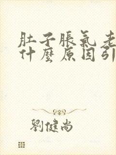 肚子胀气老放屁什么原因引起的