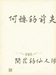 何穗的前夫是谁