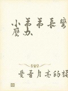 小弟弟长弯了怎么办封面