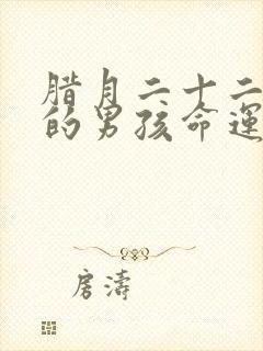 腊月二十二出生的男孩命运