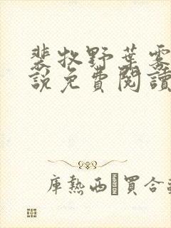 裴牧野叶雾染小说免费阅读最新章节