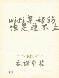 wifi是好的但是连不上网