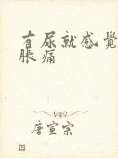 有尿就感觉小腹胀痛