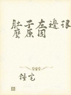 肚子左边很痛什么原因