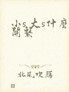 小s 大s什么关系