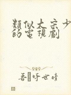 类似大宋少年志的电视剧封面