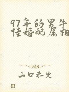 97年的男牛最佳婚配属相