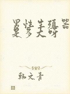 男性生殖器勃起是多大呀