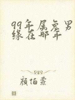 99年属兔男姻缘在哪年