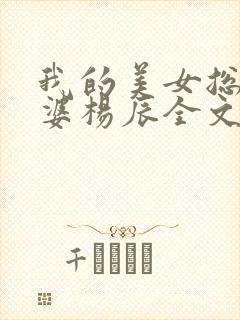 我的美女总裁老婆杨辰全文阅读