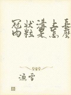 冠状沟上长了小肉粒是怎么回事封面